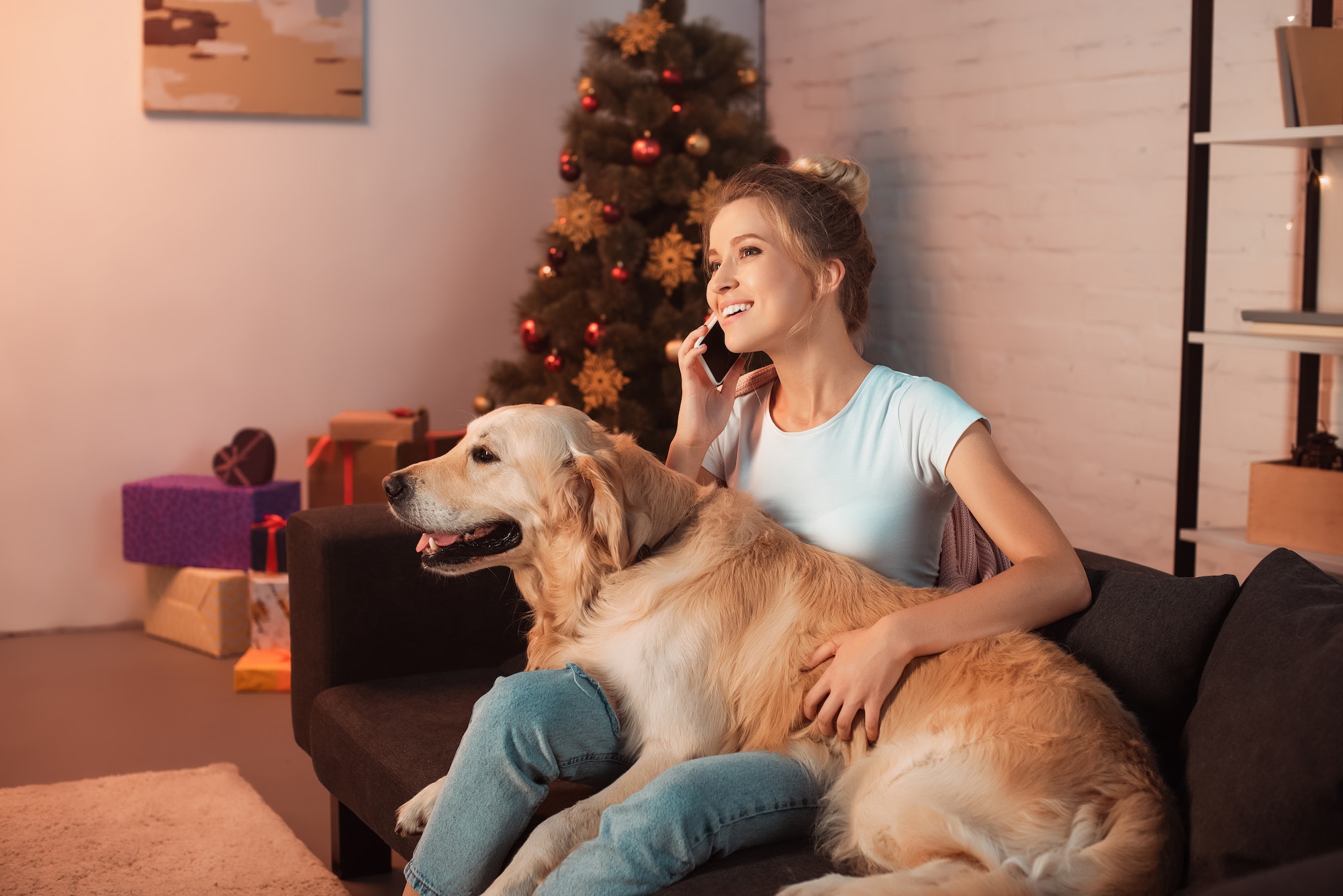 beautiful young blonde woman sitting on couch with golden retriever dog and talking on smartphone at